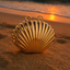 Gold Clam Seashell Tiny Clutch Coin Purse